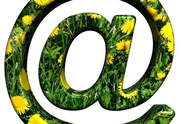 A computer-generated 3-D email @ symbol. The symbol itself is filled in with green grass and yellow dandelions, which from afar makes it appear green with bright-yellow spots.