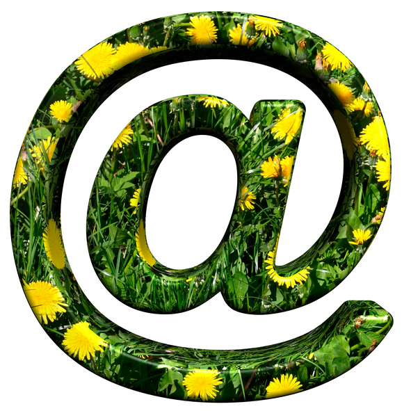 A computer-generated 3-D email @ symbol. The symbol itself is filled in with green grass and yellow dandelions, which from afar makes it appear green with bright-yellow spots.