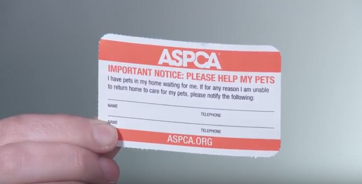 Fingers grasp an ASPCA membership card with a place for the member to fill in their contact information in case of emergency. 